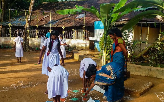 තෛපොංගල් උත්සවය 2019